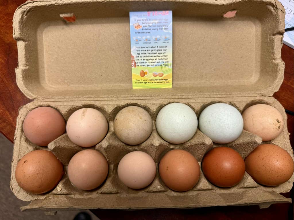 Organic Eggs